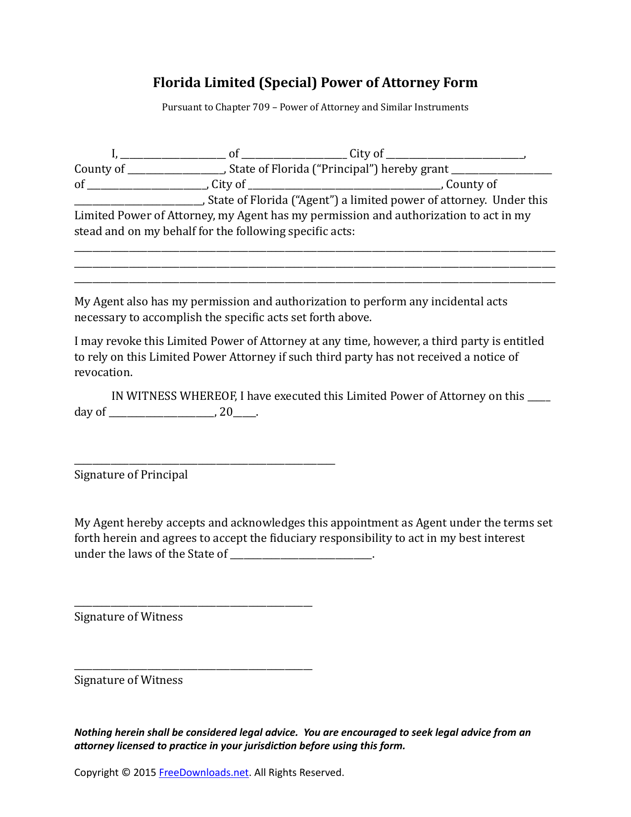 Download Florida Special Limited Power Of Attorney Form PDF RTF 