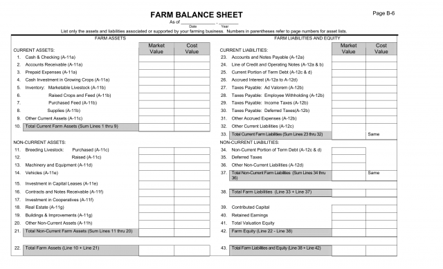 Download Farm Balance Sheet Template | Excel | PDF | RTF | Word