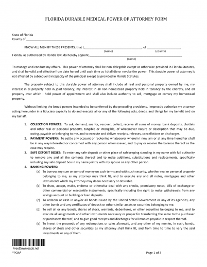 Download Florida Durable Health Care Power of Attorney Form | PDF ...
