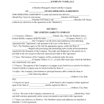 multi member llc operating agreement template