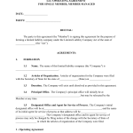 Llc Operating Agreement Template Pdf